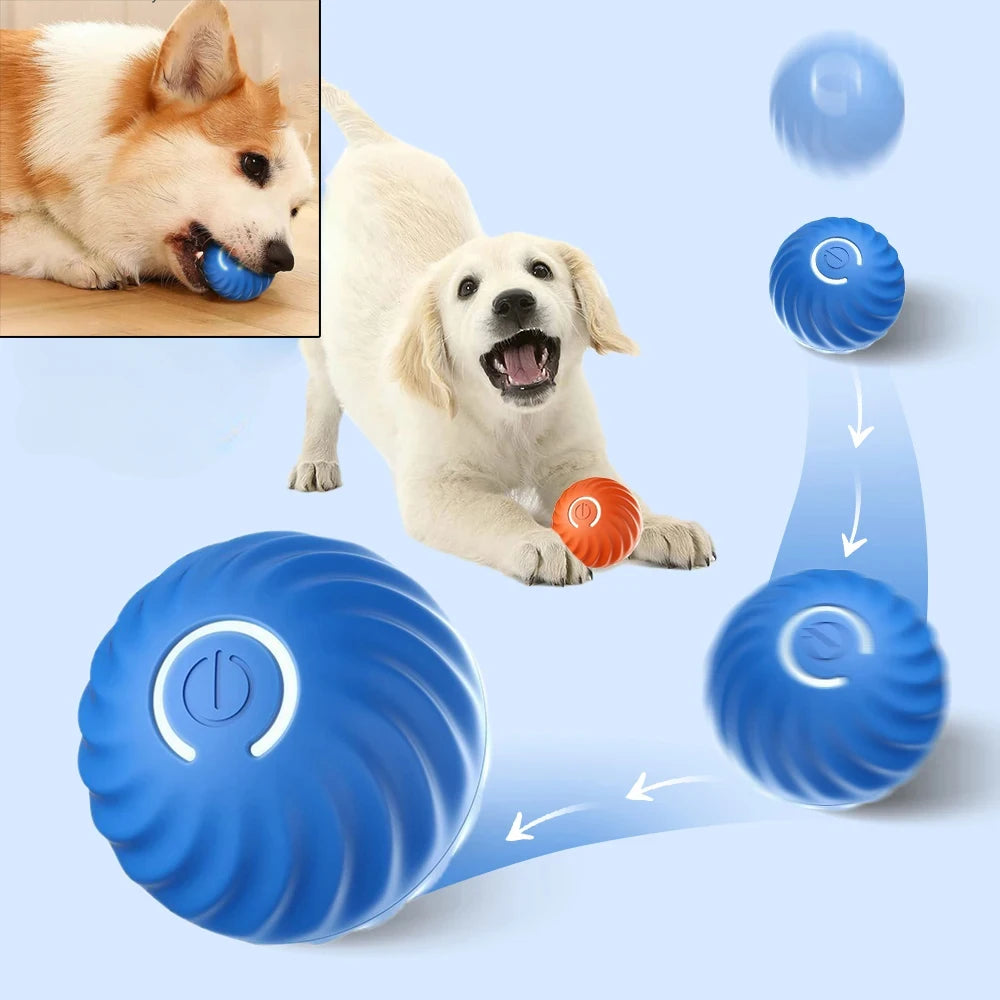 Automatic Dog Toy Ball