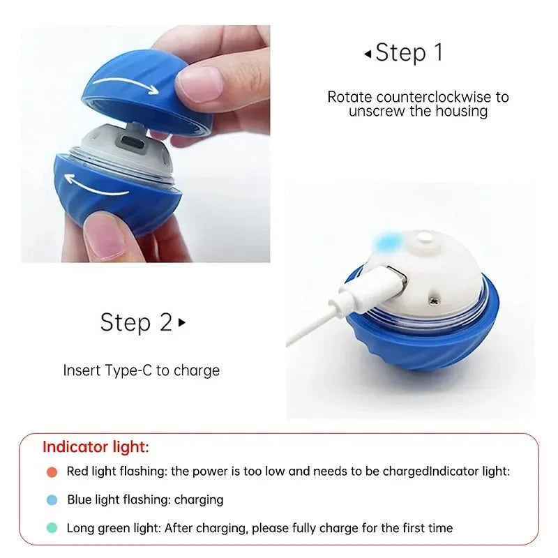 Automatic Dog Toy Ball