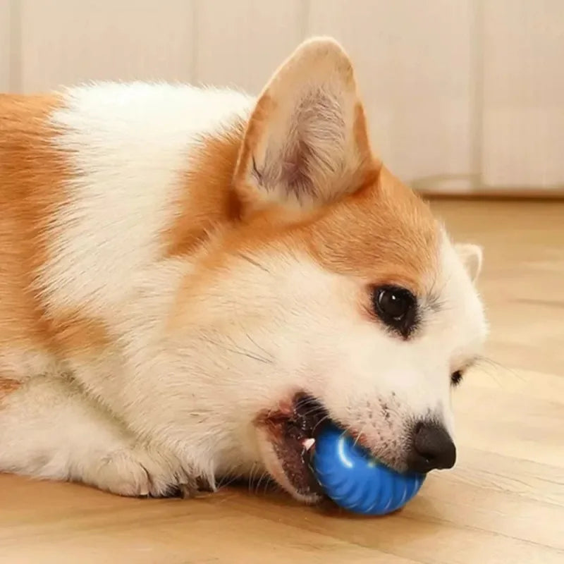 Automatic Dog Toy Ball