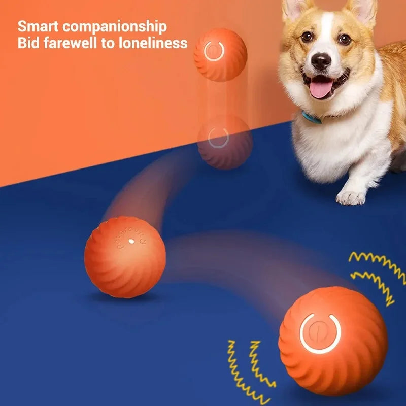Automatic Dog Toy Ball