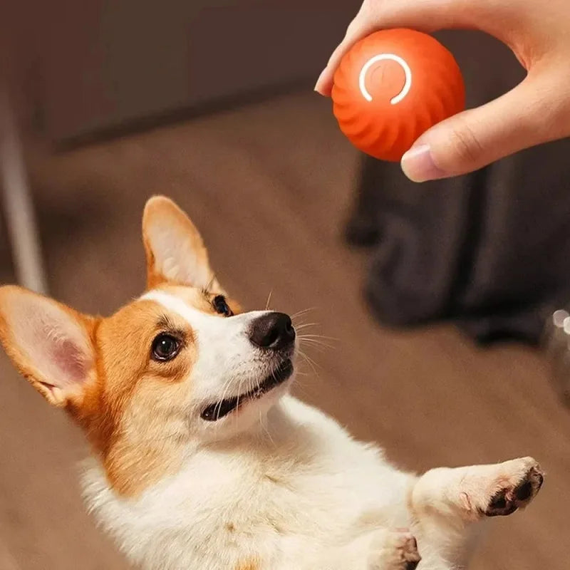 Automatic Dog Toy Ball
